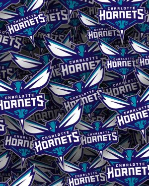 Charlotte Hornets 22