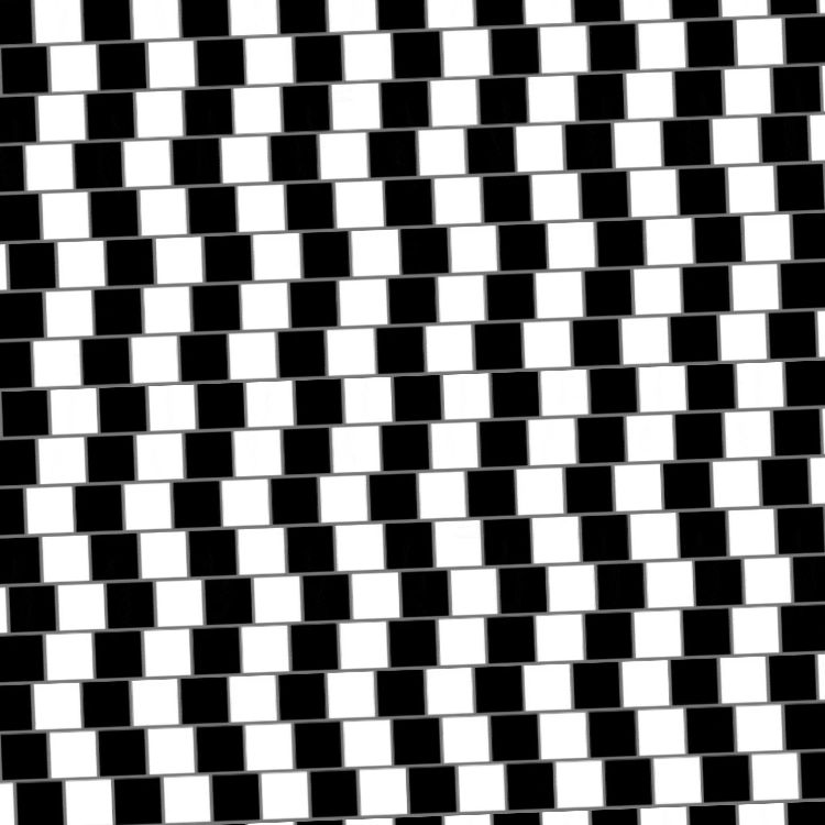 Checkerboard Optical Illusion