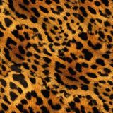 Cheetah-Fur.jpg