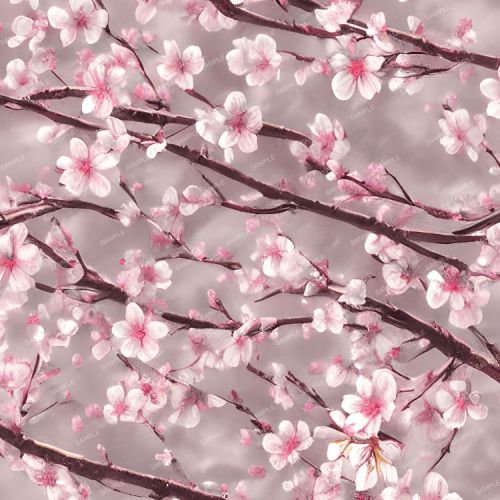 Cherry Blossoms 40