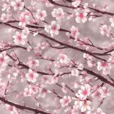 Cherry-Blossoms-25