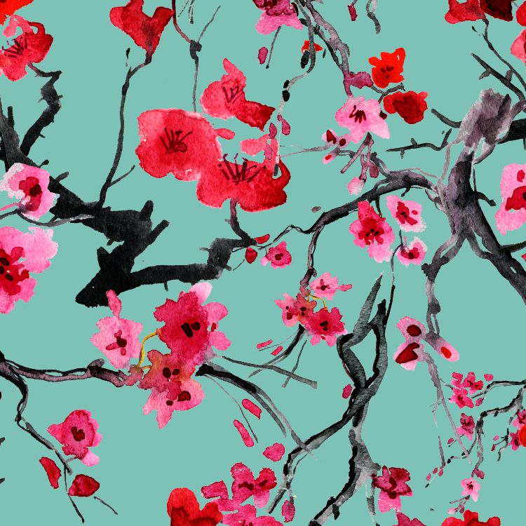 Cherry Blossoms 32