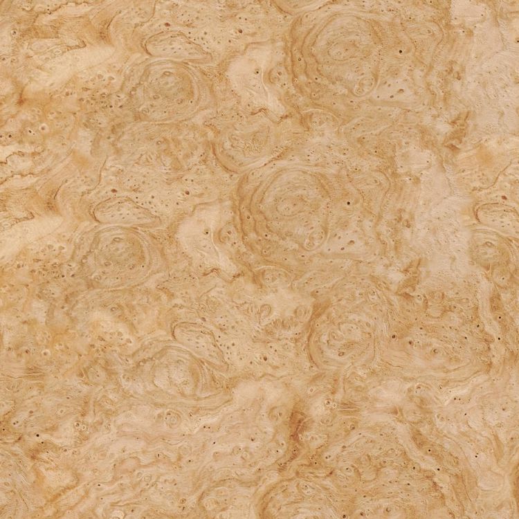 Chestnut Burl