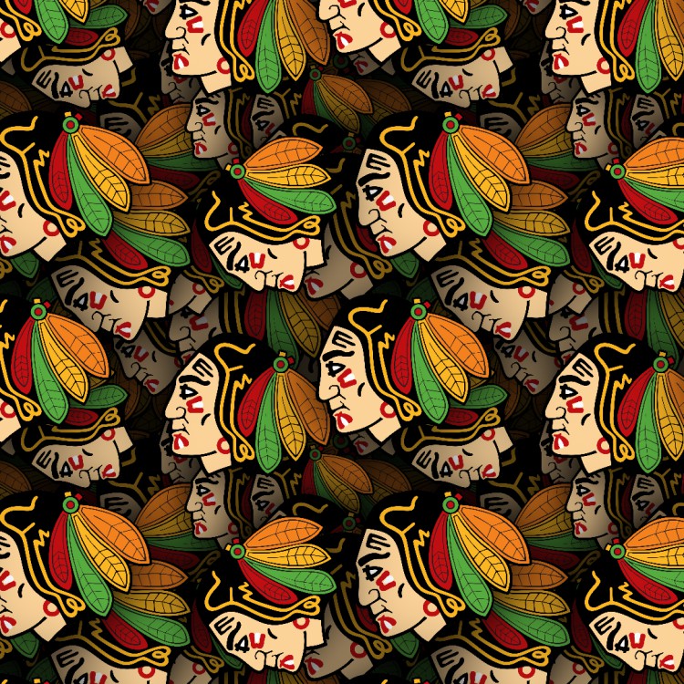 Chicago Blackhawks 22