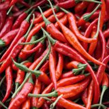 Chili-Peppers-42-1