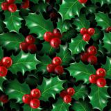 Christmas-Holly-22