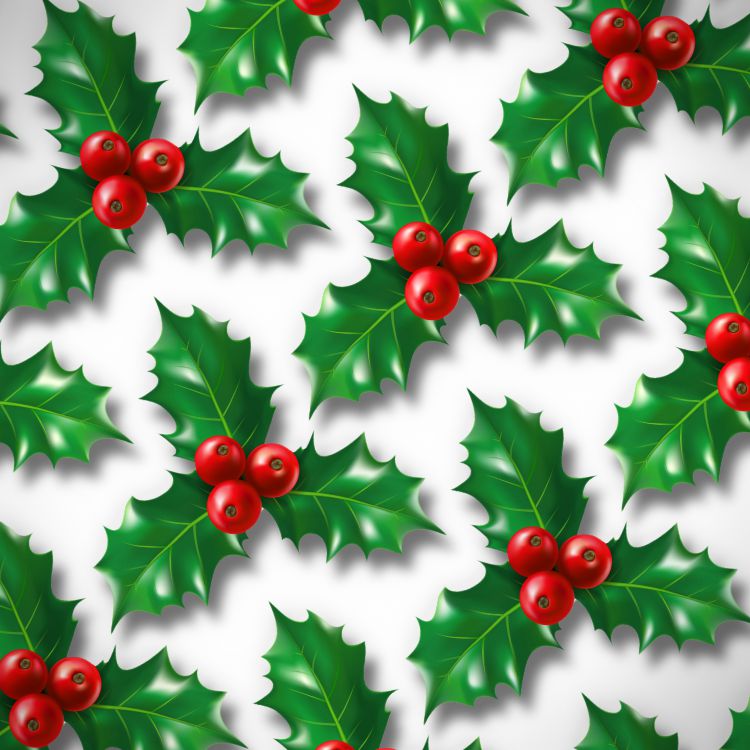 Christmas Holly 24