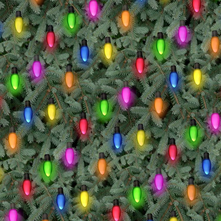 Christmas Lights 26