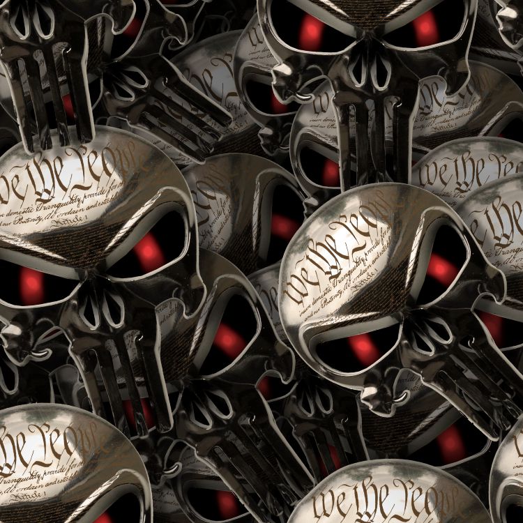 Chrome Constitutional Punisher Skull 22