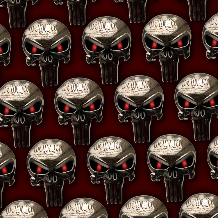 Chrome Constitutional Punisher Skull 23