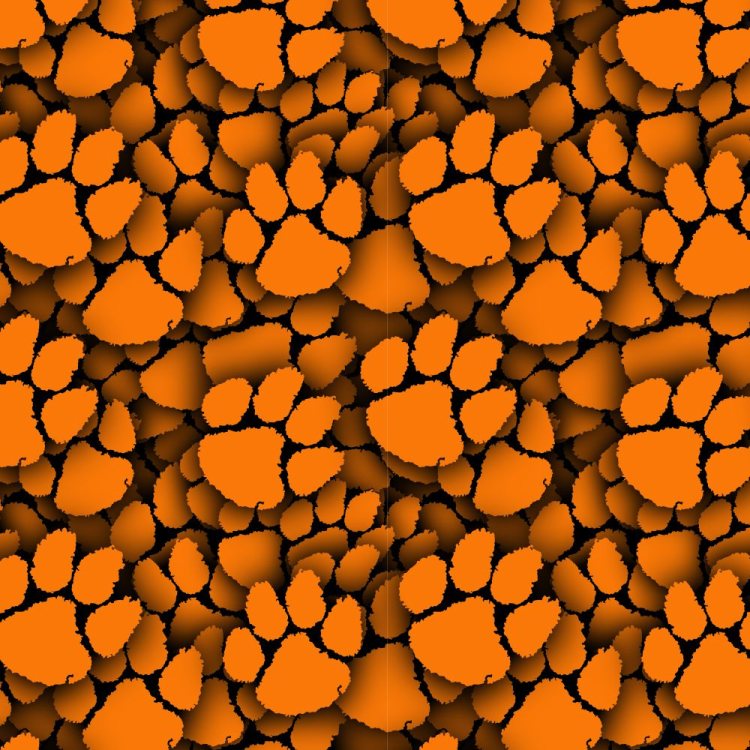 Clemson University Tiger Paw 22