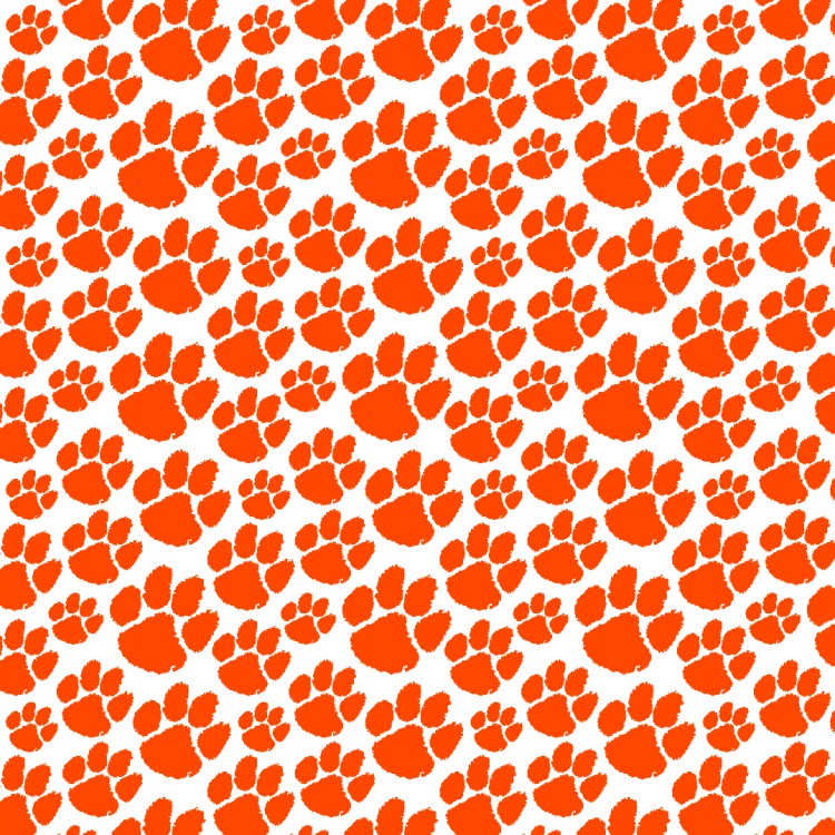 Clemson University Tiger Paw 27