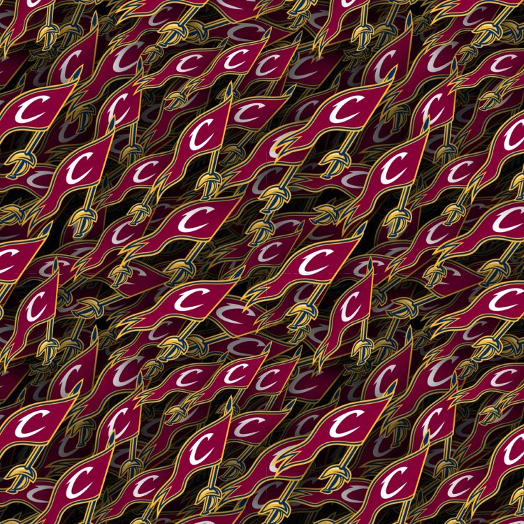 Cleveland Cavilers 23