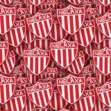 Club-Necaxa.jpg
