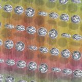 Coin-Toss-Game-43