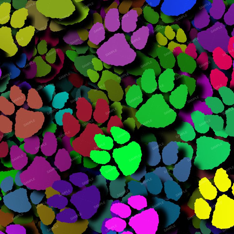 Color Paws 21