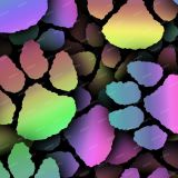 Color-Paws-22