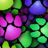 Color-Paws-23