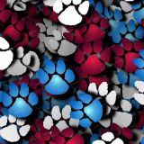 Color-Paws-24