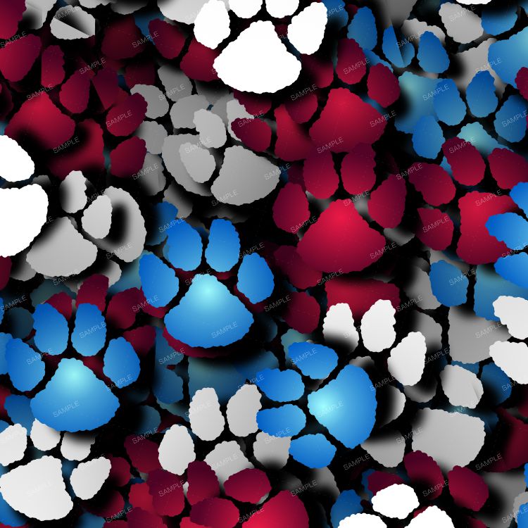 Color Paws 24
