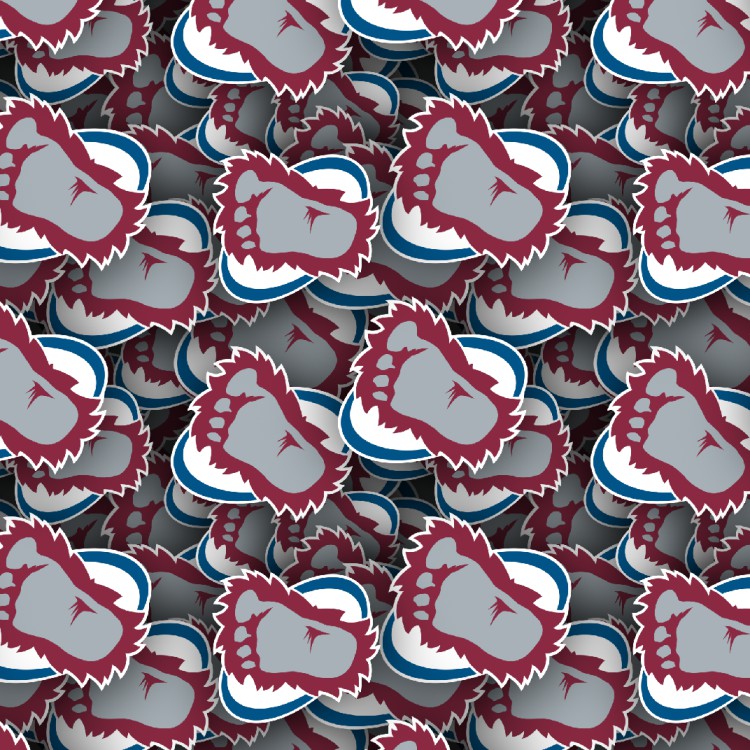Colorado Avalanche 24