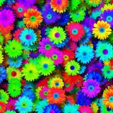Colored-Daisies-23