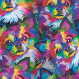 Colorful-Chihuahuas-thumb