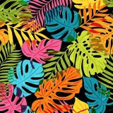 Colorful-Jungle