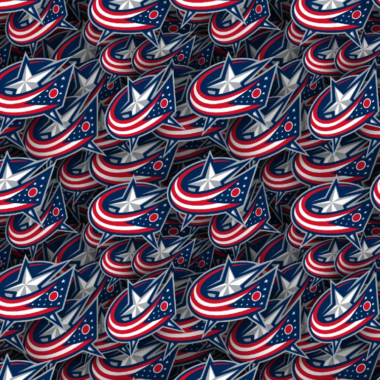 Columbus Blue Jackets 22