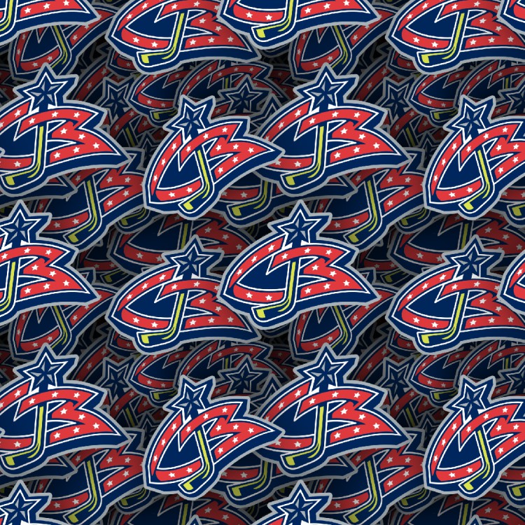 Columbus Blue Jackets 24