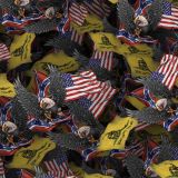 Confederate-Eagle-with-Flags-thumb