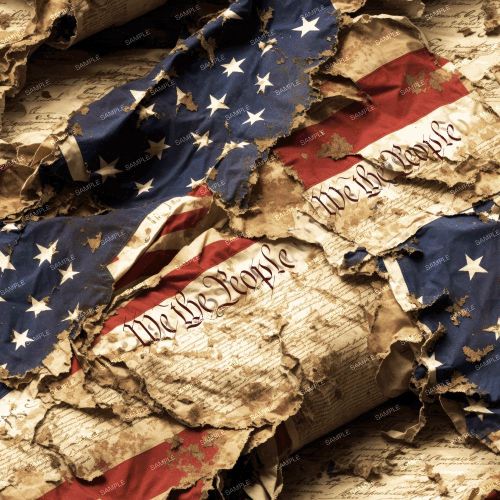 Constitution in Shreds 42