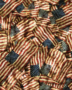 Constitutional Flags 24
