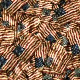 Constitutional-Flag-24-thumb