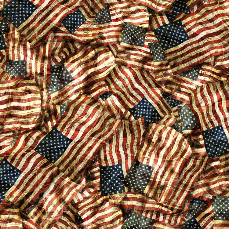 Constitutional Flags 24