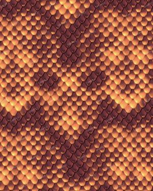 Copperhead Snake Skin