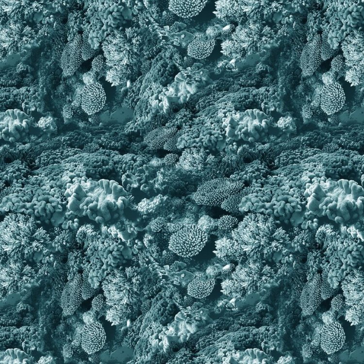 Coral 28 Camouflage