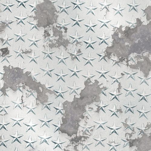 Corroded Star Plate Aluminum