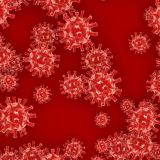 Covid-SARS-3