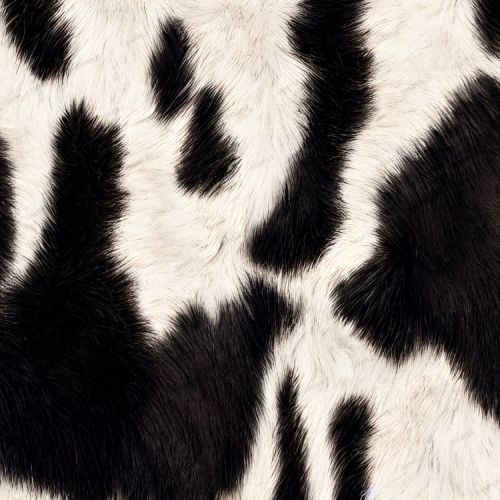 Cow Hide 43
