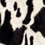 Cow-Hide-43
