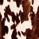 Cowhide-27