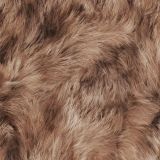 Coyote-Fur-42
