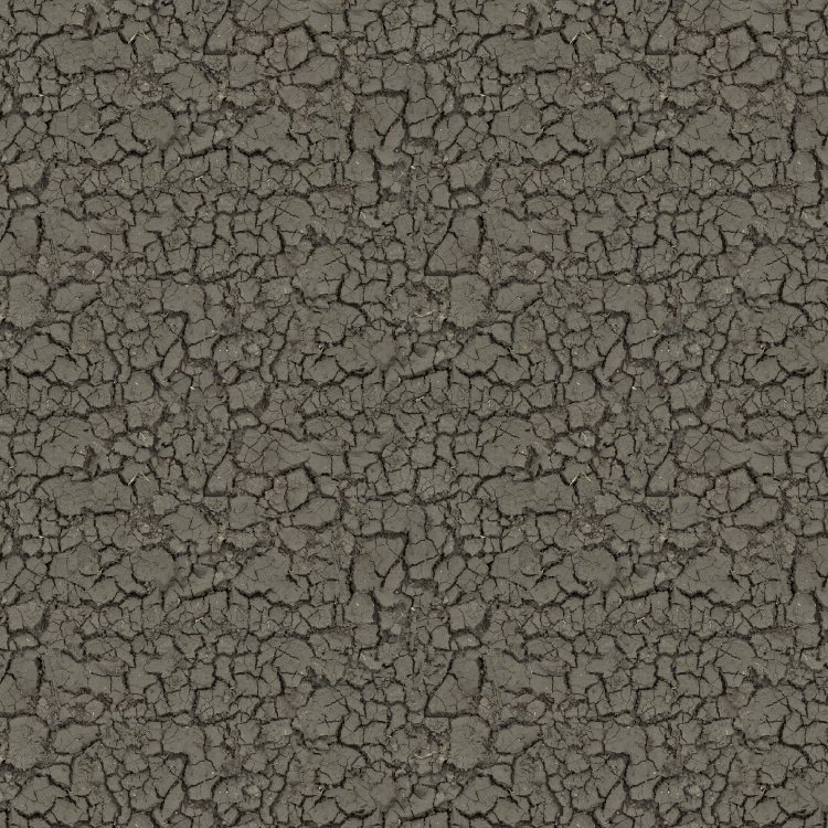 Cracked Mud