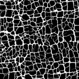 Cracked-Texture