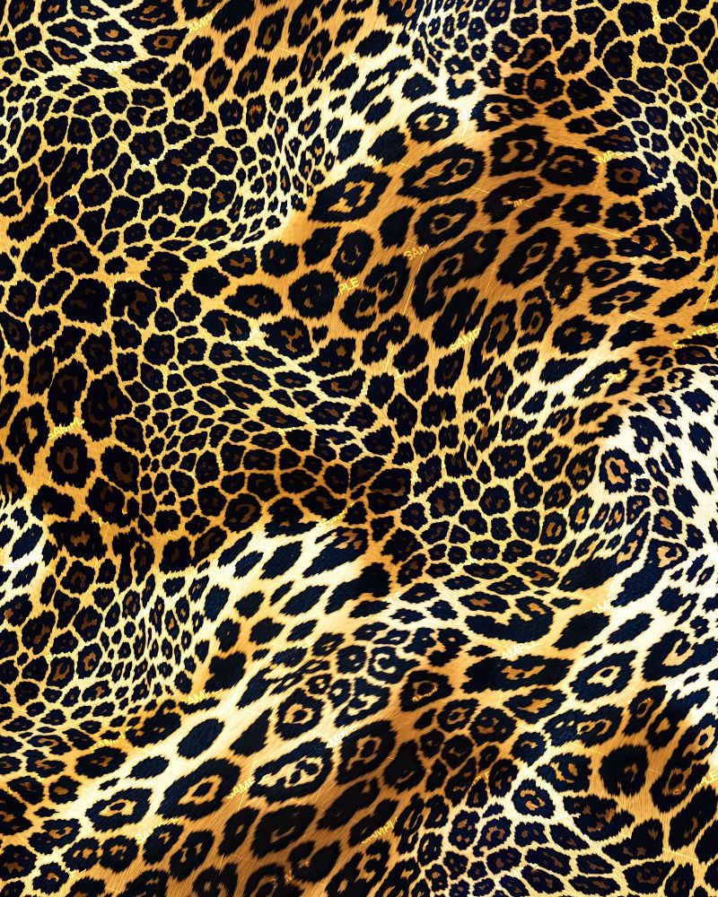Crazy Leopard