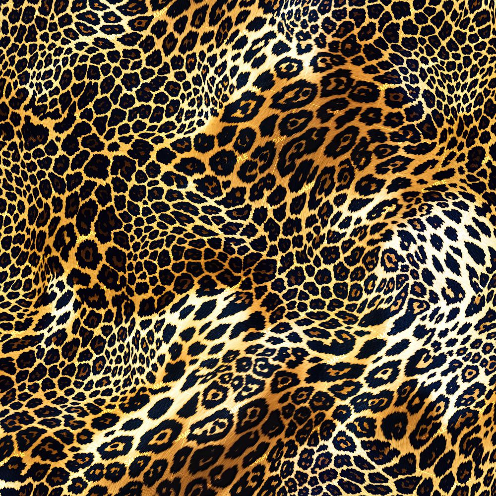 Crazy Leopard