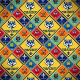 Cub-Scouting-22