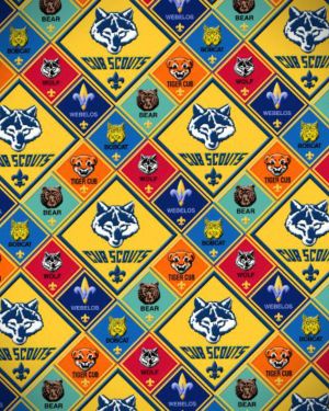 Cub Scouting 22