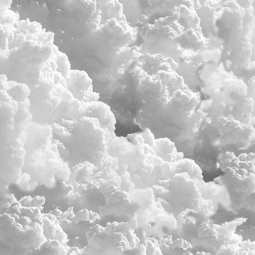 Cumulus Cloud Bank